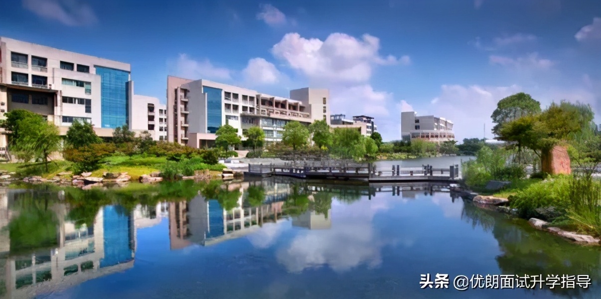 浙江财经大学2020三位一体招生情况？最高可降70分录取