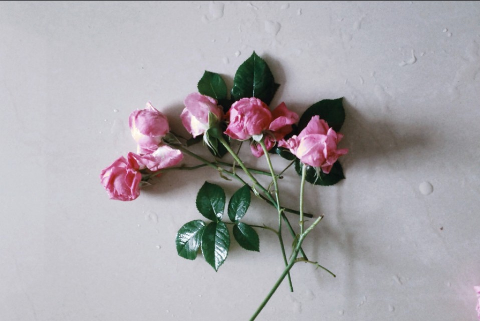 六篇高考满分作文——关于善，关于爱，关于价值，关于情怀