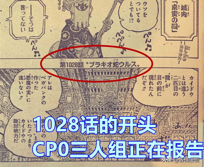 海賊王1028話 Cp0路奇的艦船到凱多周圍 保鏢史翠西與卡庫出場 Wechat中文網