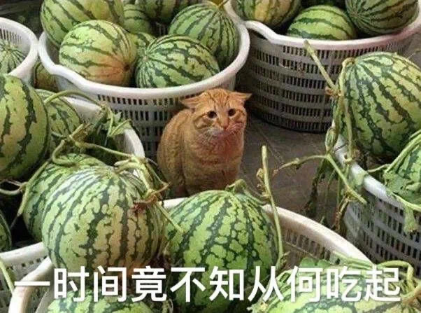 怎么会骗你呢，骗你是小猪