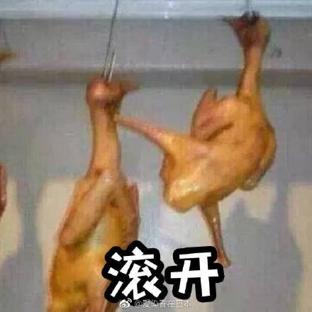 生气表情包：滚开