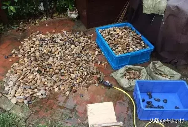 院子里应该有个小池塘，没有就自己动手挖个！（附实际操作图）