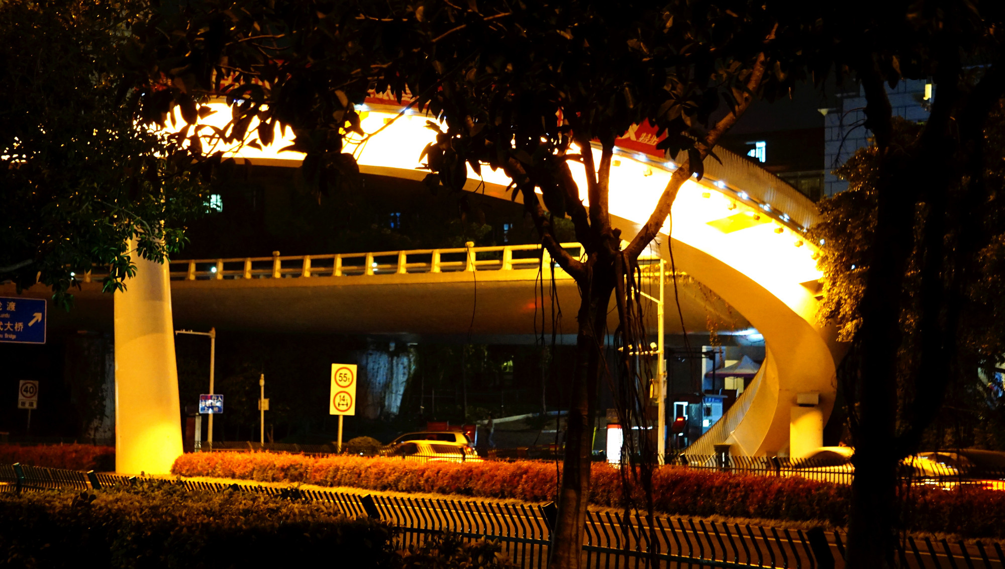 玩遍世界（3）·福建厦门｜门口就是海，为何厦大是最美大学之一