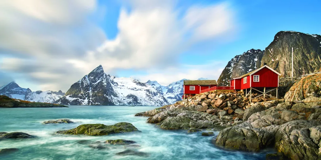 双11想给宝宝买点DHA？这些知识点一定要知道