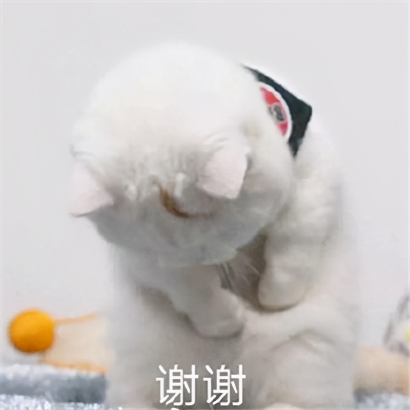 表情包｜感恩的心，感谢有你