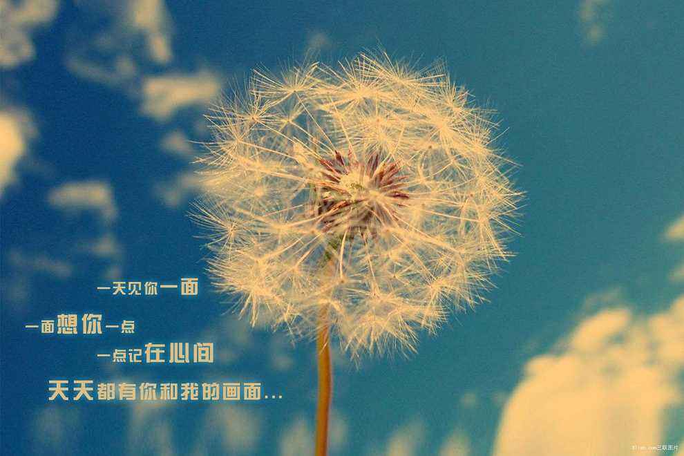 无论是争吵还是嬉闹,无论是相对无言,还是心有千千结,无论是一起走