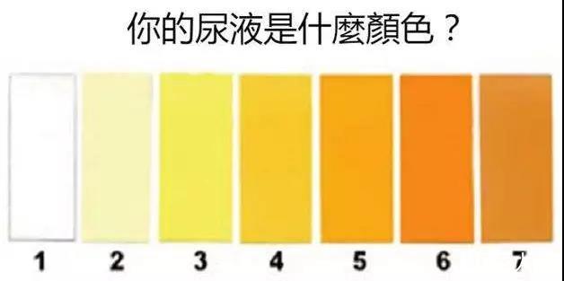 尿中有泡沫是怎么回事？除了肾病还可能是这些原因
