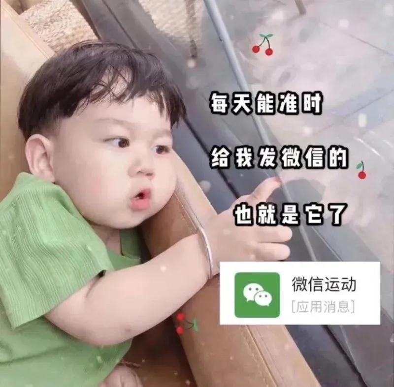 表情包：给你脸了是不是！