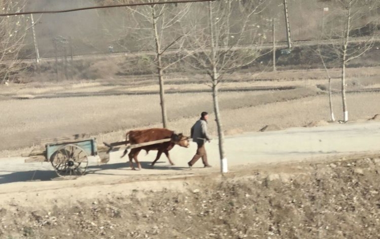 回忆我在朝鲜生活的日子