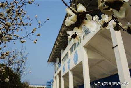 定了！北京吉利学院，迁往成都，北京校区，北大入驻！