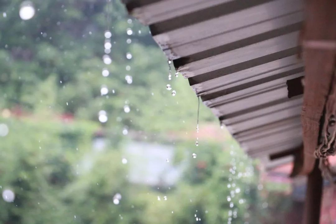 秋雨微凉，35句诗词，带你看尽秋雨之美