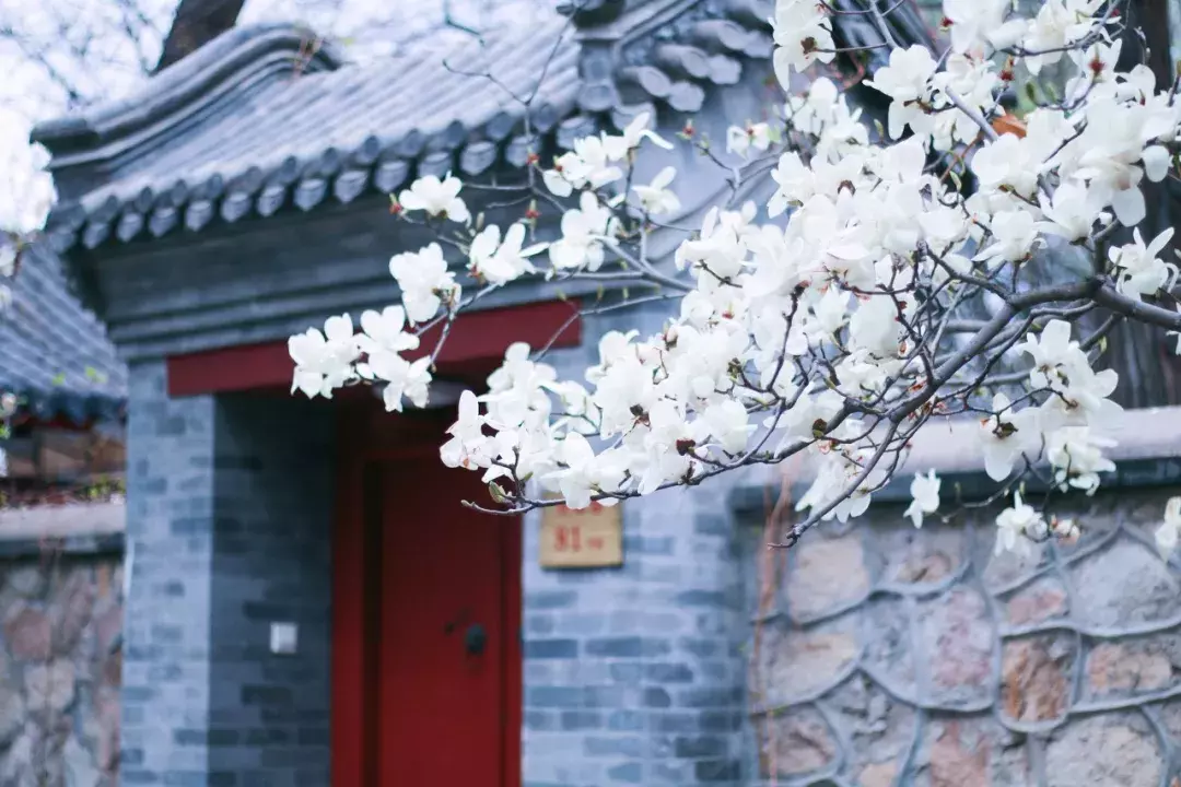 中国春天最美的10座大学，好想回去谈一场恋爱