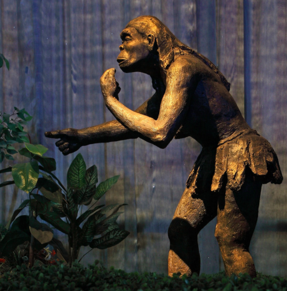 距今170万年前的人都发现了(距今170万年前的人都发