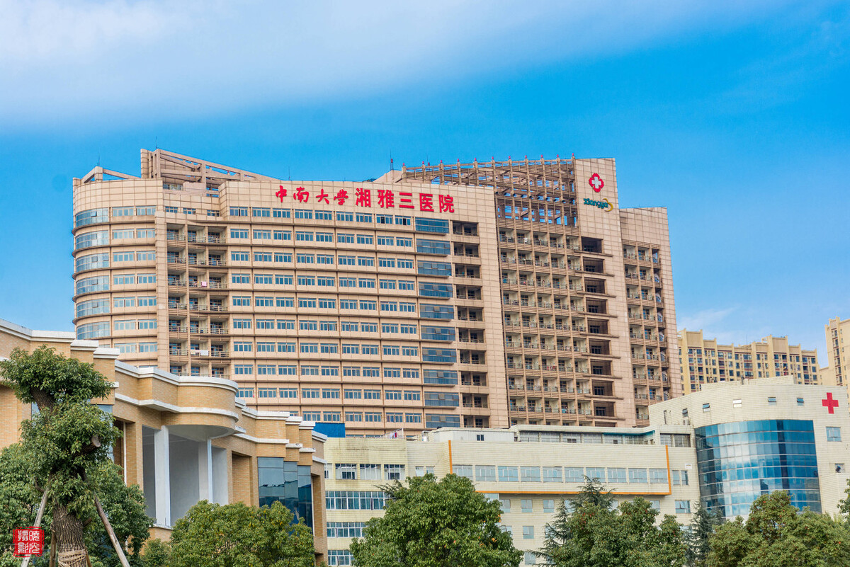 从五年本科到十年本硕博连读，临床医学最好的大学，究竟谁更强？