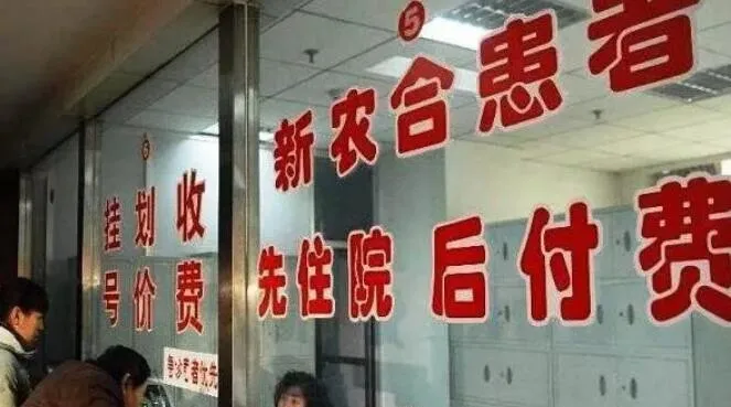 合作医疗,合作医疗保险一年多少钱啊