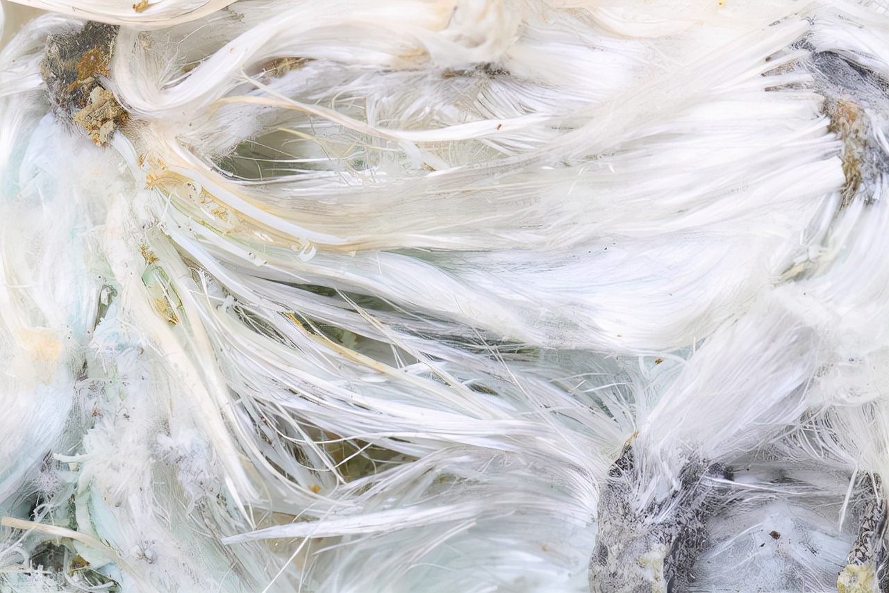 世界公认的致癌物，但目前仍在广泛使用，石棉的危害究竟有多大？