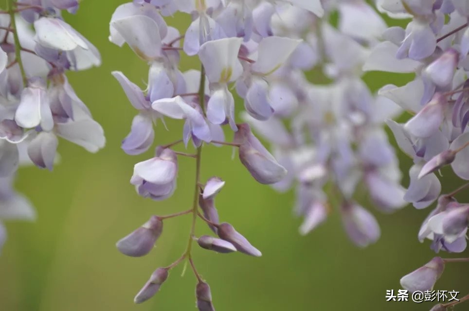 会计实务：年终关账前应做好的几项“暂估入账”