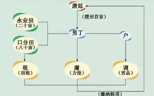 浅谈唐代的户税和地税及其发展沿革