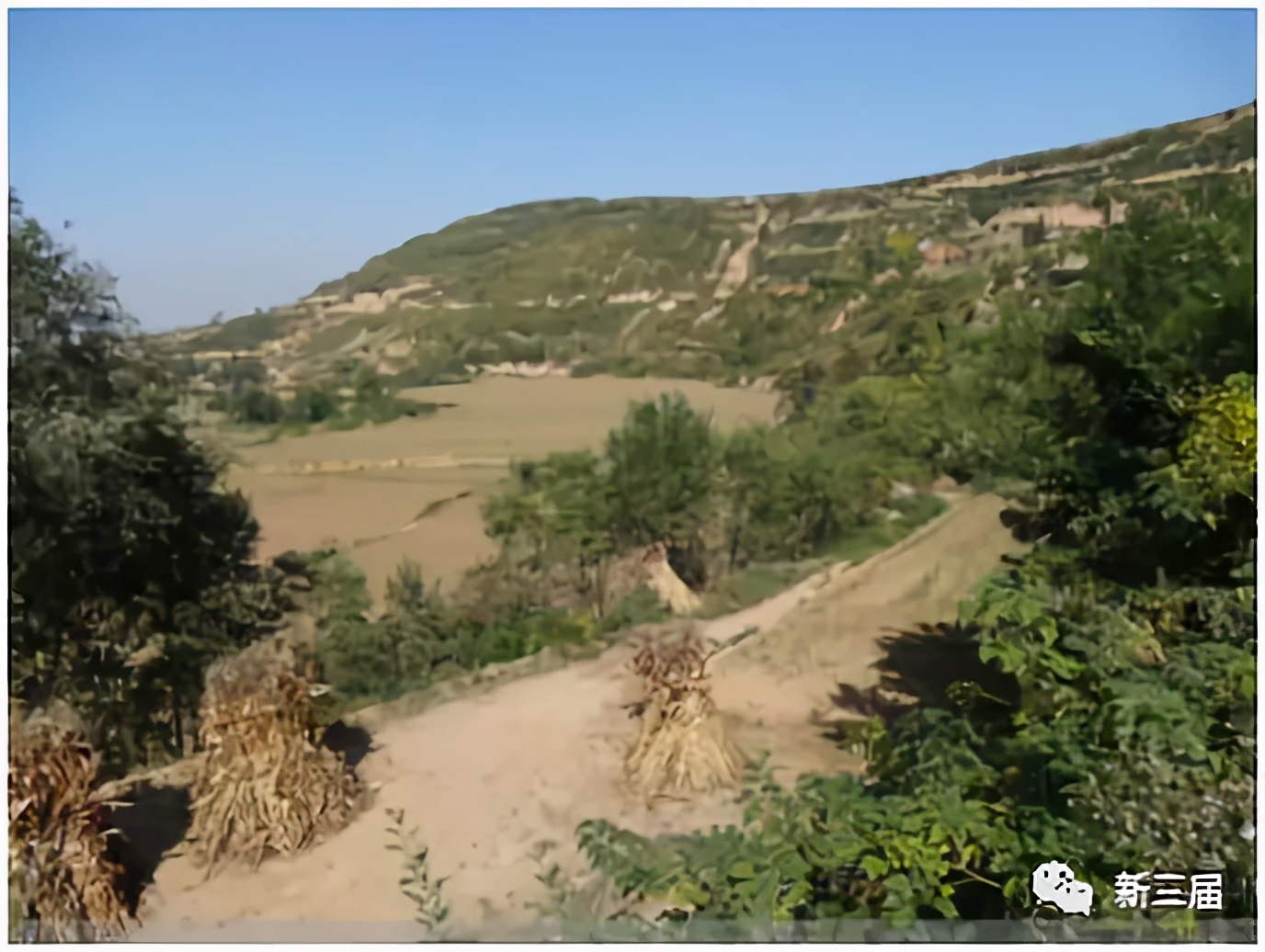 王晓光：我在姜太公钓鱼的地方当知青