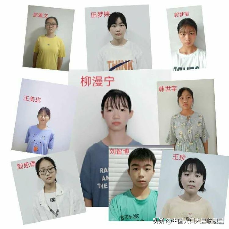 临泉县杨小街中心校2020中考喜报