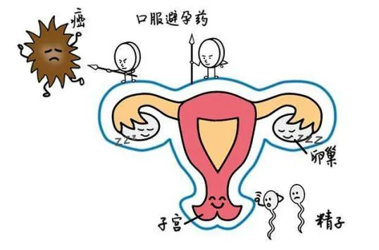 口服短效避孕药的七问七答