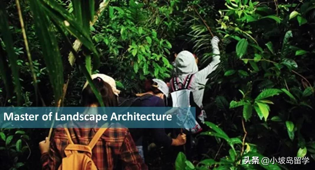 NUS SDE | 新加坡国大设计与环境学院及专业介绍