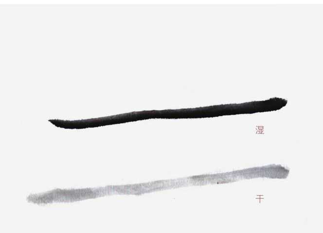 从基本运笔到作画姿势，分步骤讲解教你，适合国画爱好者学习