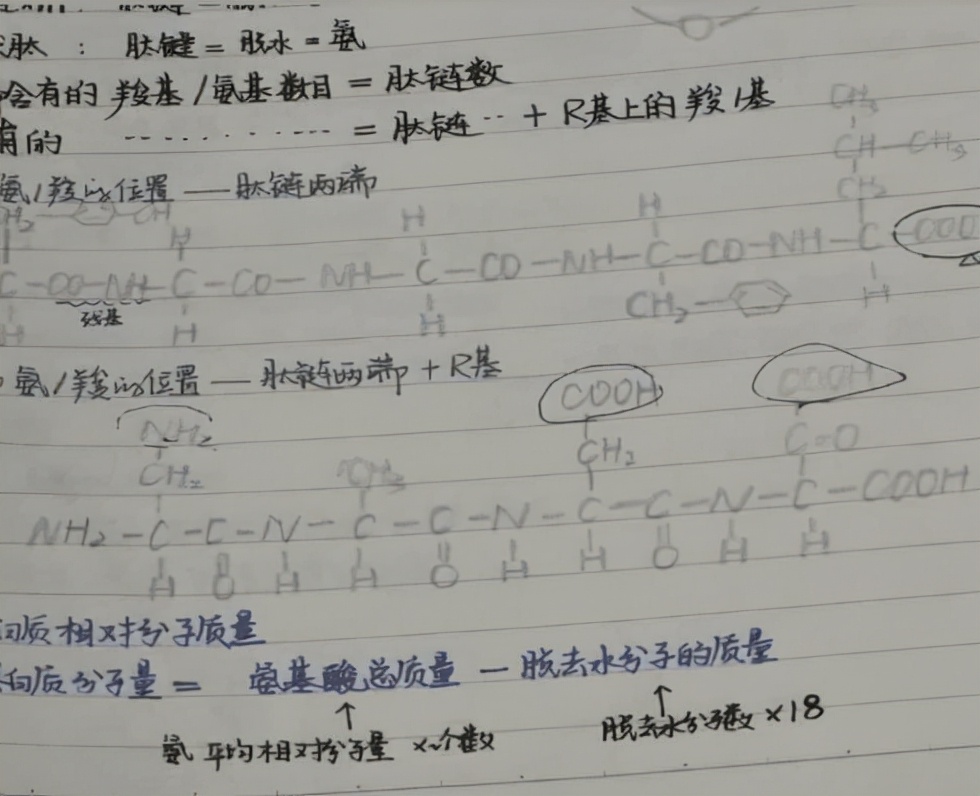 写字好看有多重要？中学生试卷答题卡火了，隔壁改卷老师很羡慕