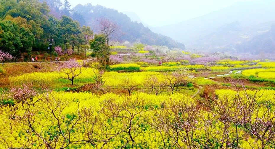 王观《卜算子•送鲍浩然之浙东》诗词赏析