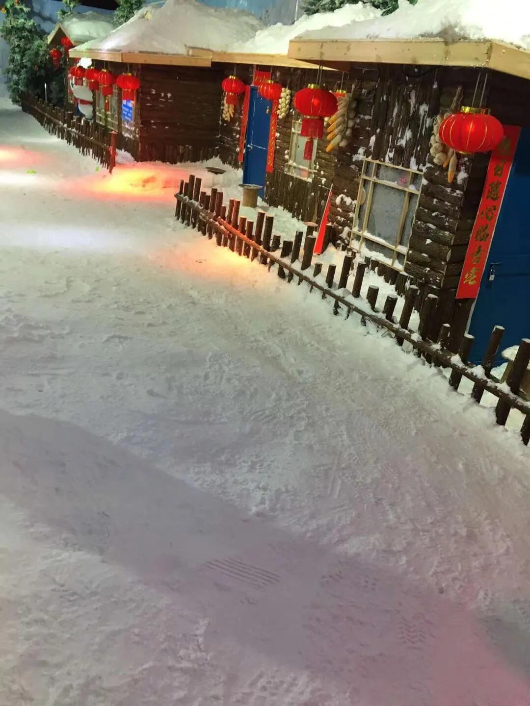 《致逝去的童年和青春<雪>》