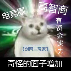 吃惊小猫表情包