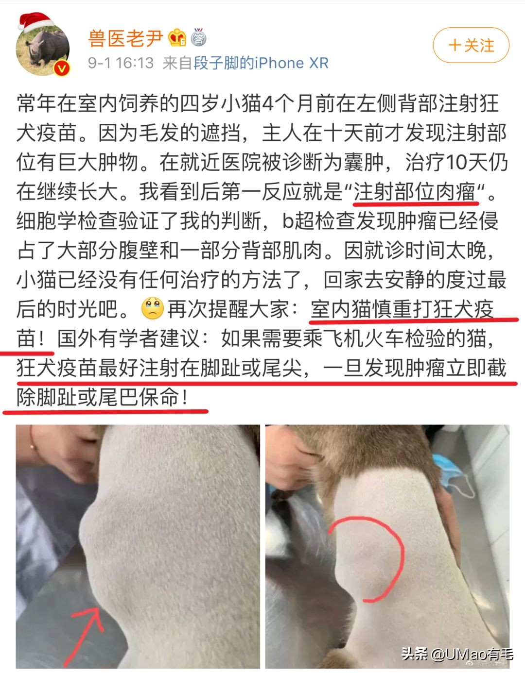 狂犬疫苗会导致猫咪得肿瘤绝症，狂犬疫苗究竟该不该打？