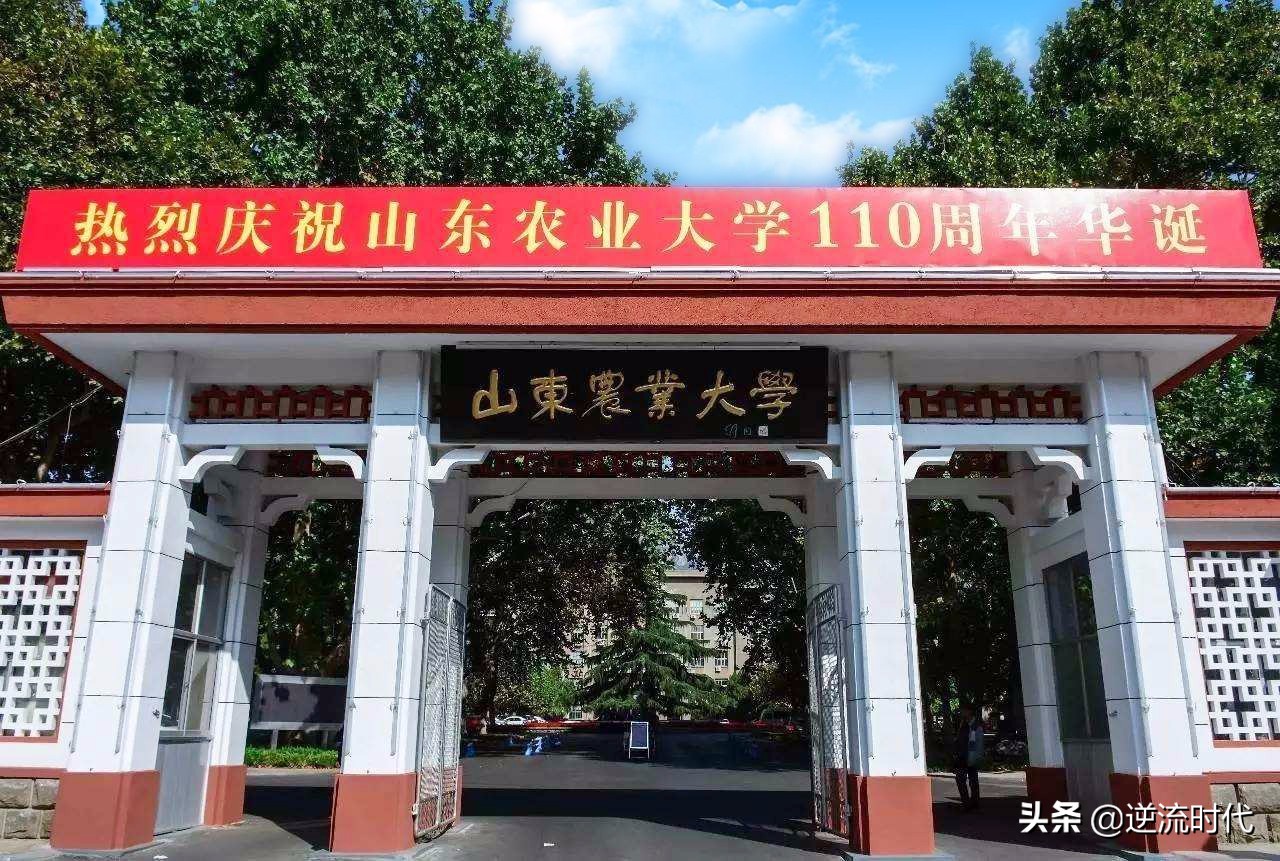 山东师范与山东科技同时冲击国家重点实验室，双一流将花落谁家？