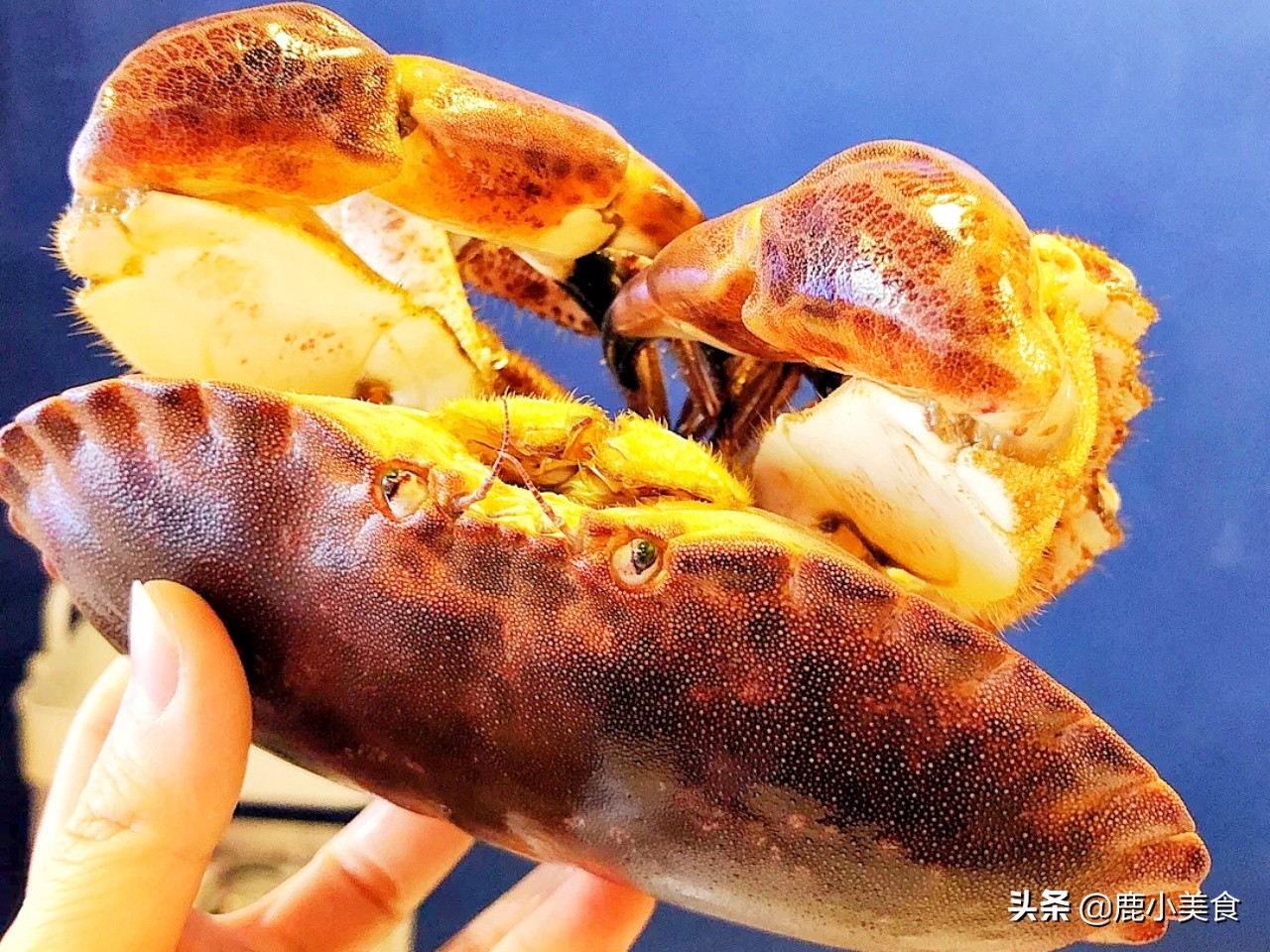 面包蟹的做法怎么做好吃（分享5道美味做法鲜美滋味）