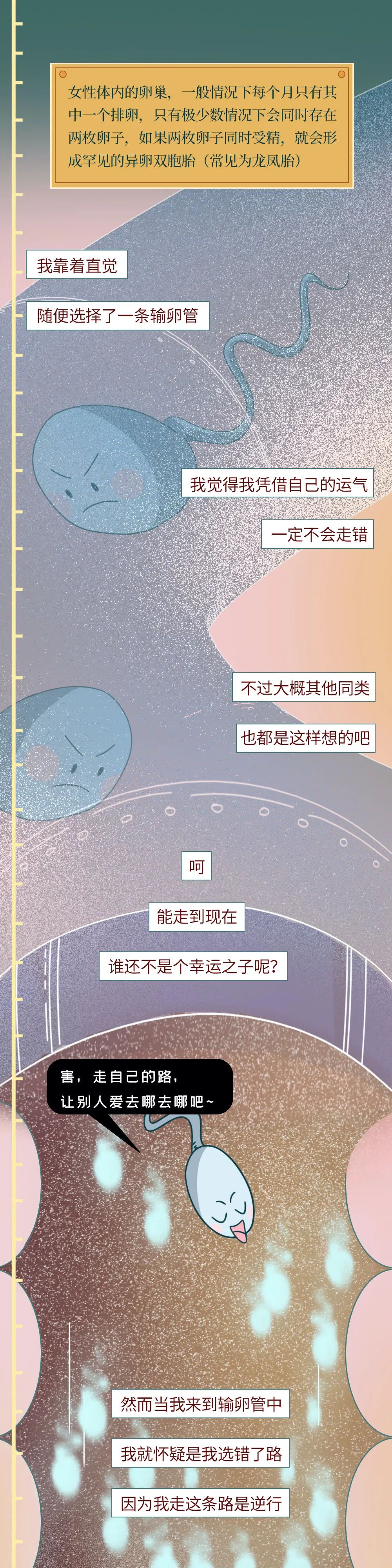 精子进入体内的24小时