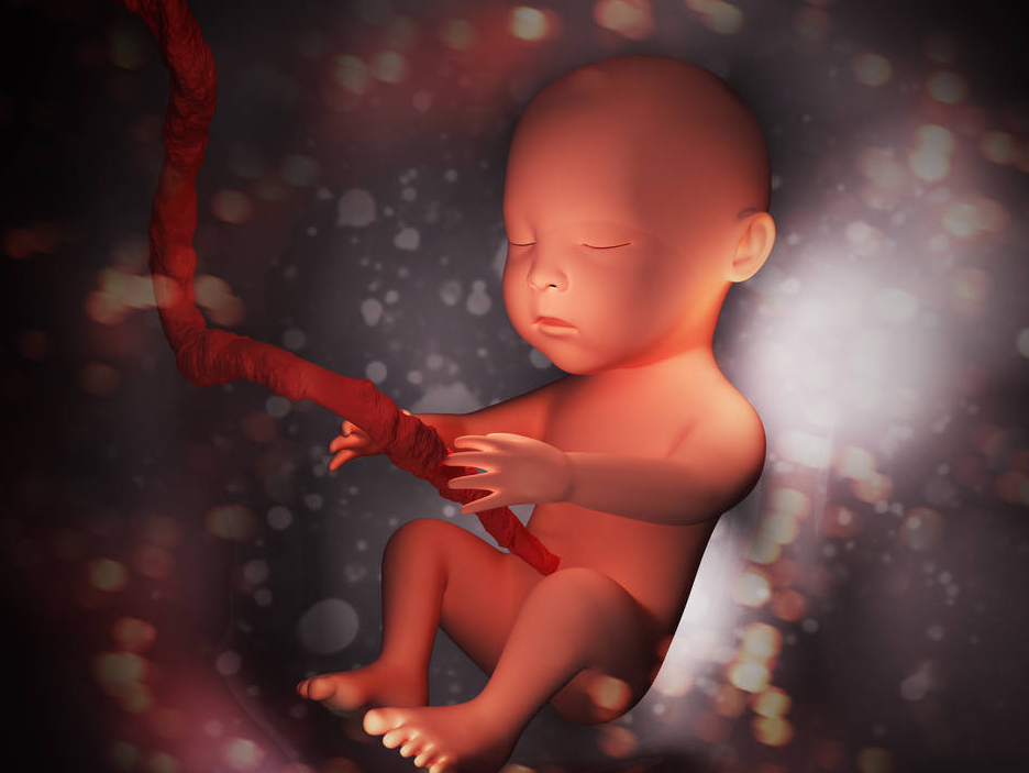 二,羊水的构成,胎儿在母体内如何"呼吸"?