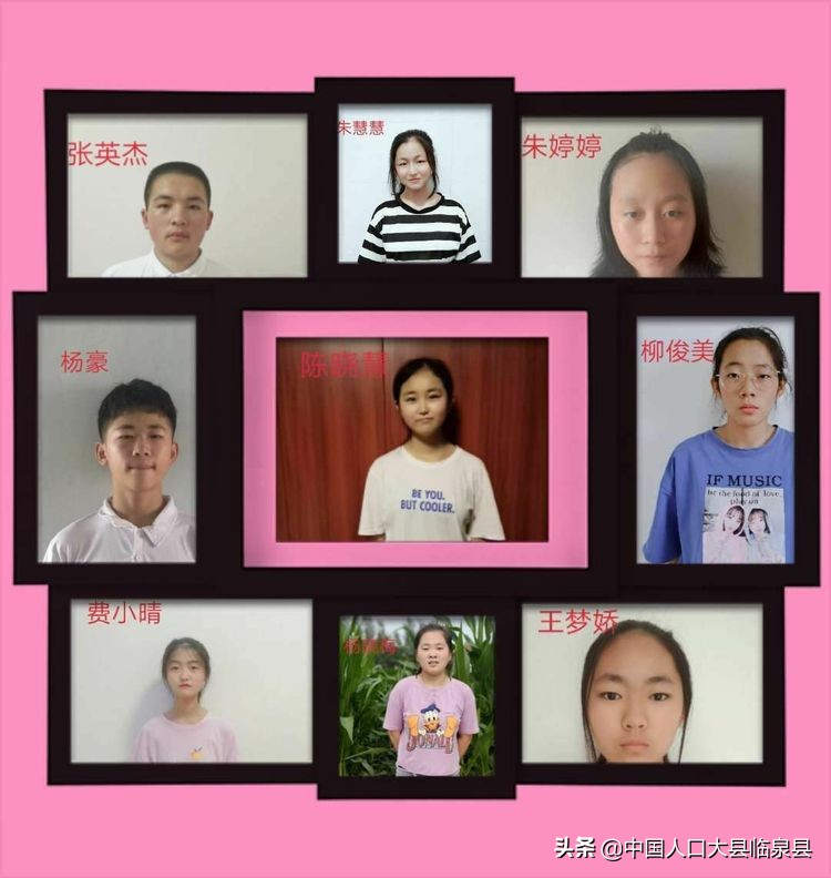 临泉县杨小街中心校2020中考喜报