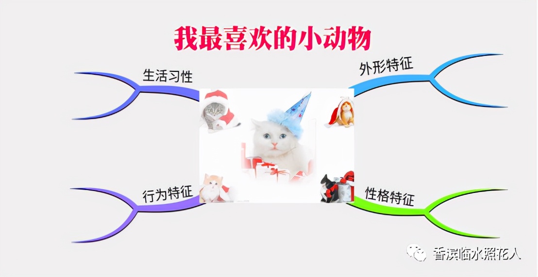 「思维导图“画”作文」五年 我的心爱之物——可爱的白鹭（十四）