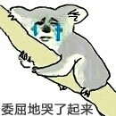 委屈的哭哭表情包合集