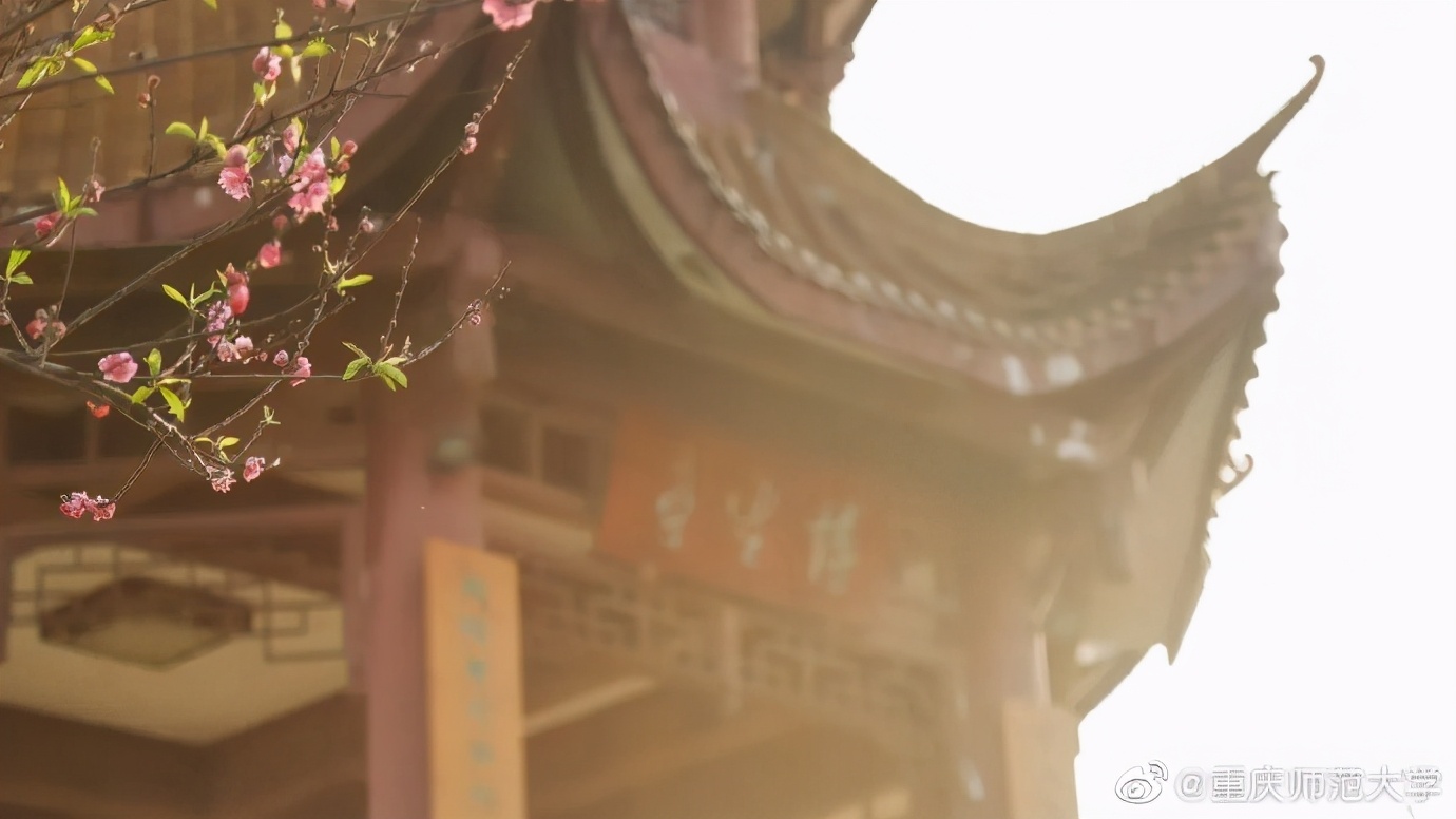 国家支持、人才缺口大！这些“热门”文科专业一定要了解！