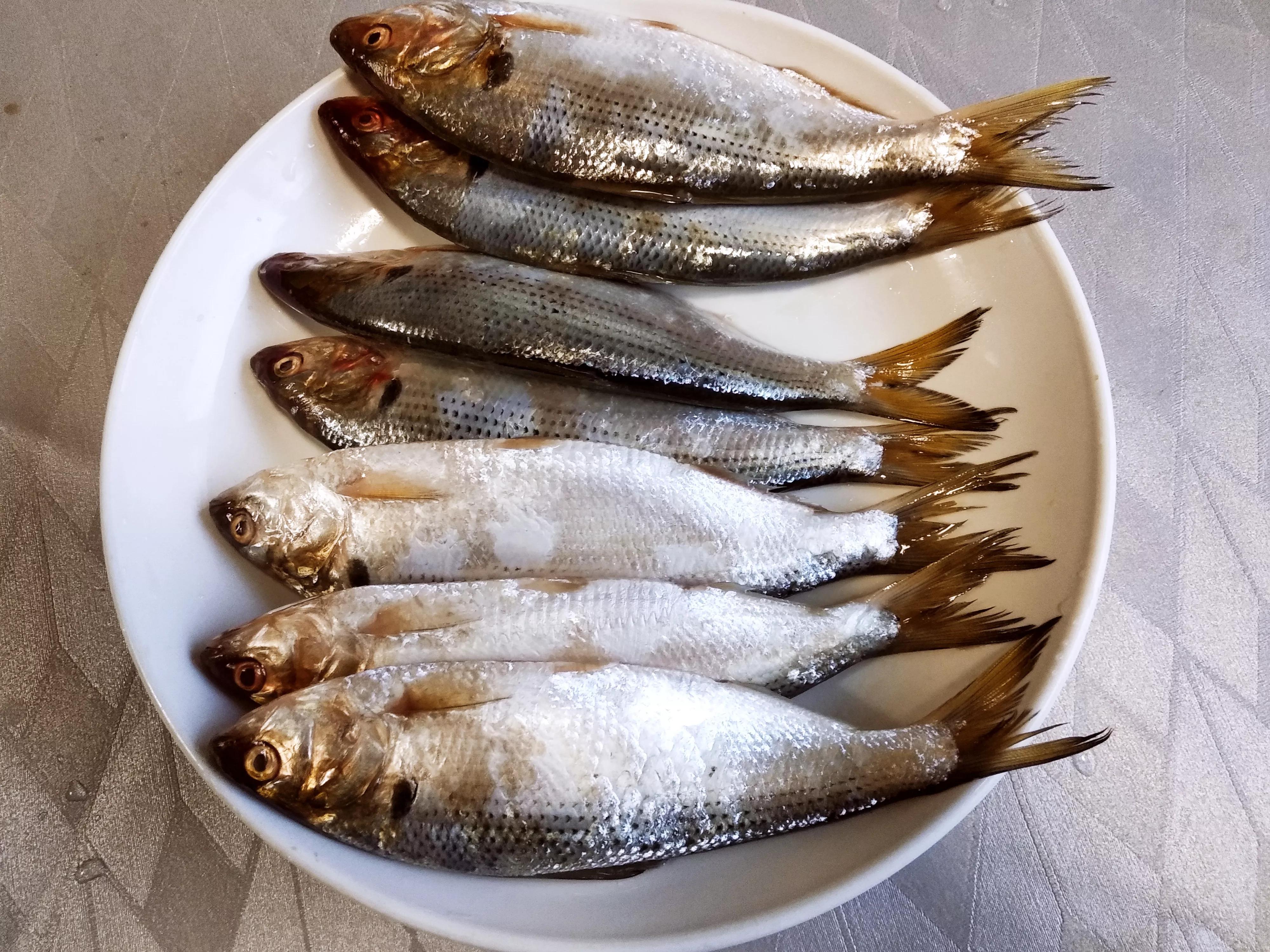 海边这8种海鱼便宜又好吃,别忘了常给家人买来尝尝鲜