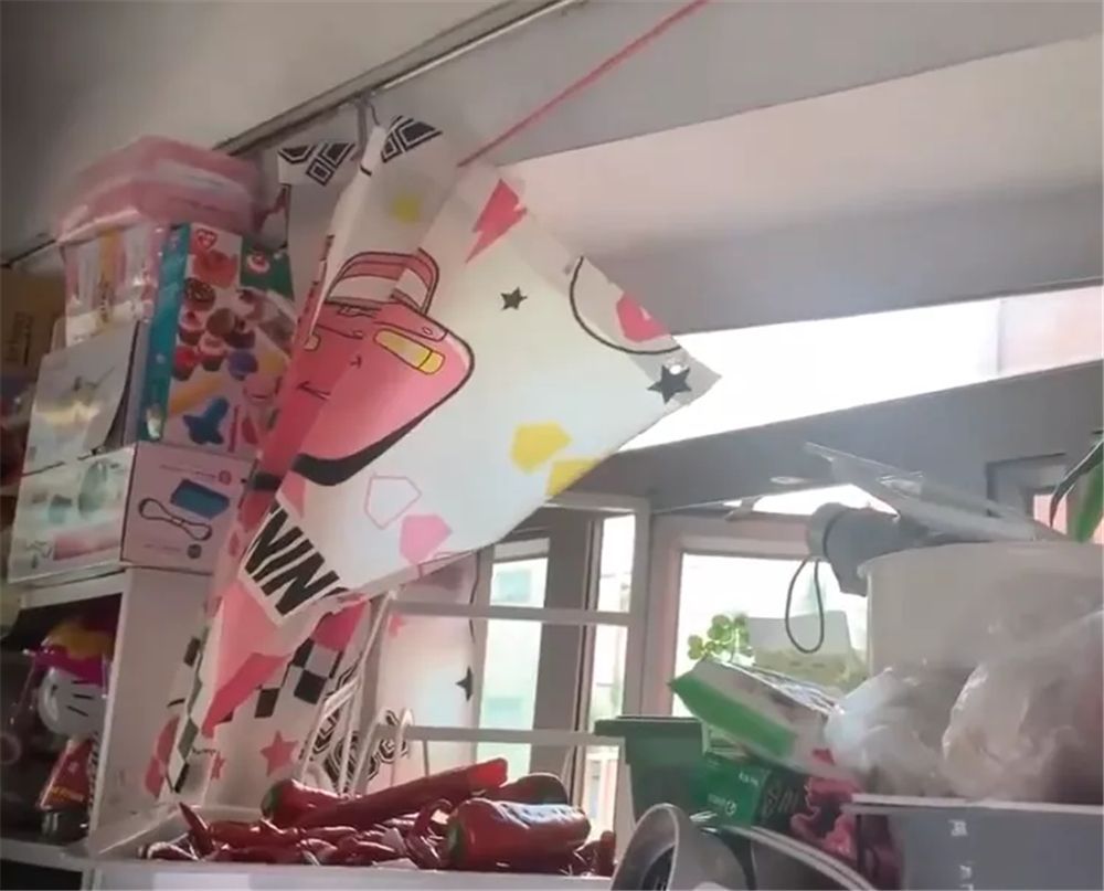 香港母女蝸居6㎡劏房，厕所难坐下洗衣机放床边，网友：太逼仄