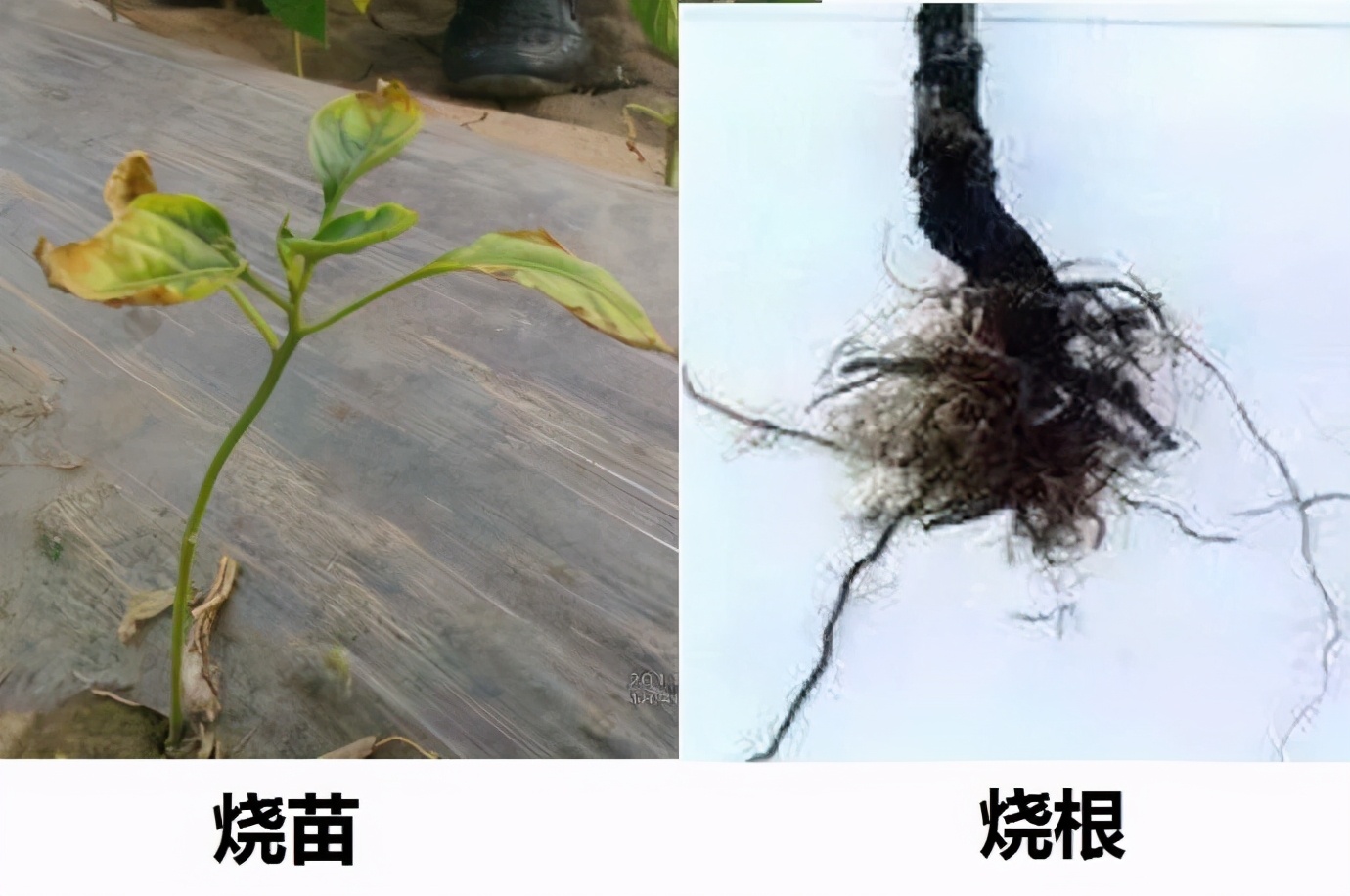 一吨水多少钱,一吨水多少钱民用