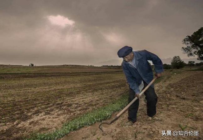 种地补贴也不间断，为啥耕种农田的人反而更少了？答案让人无奈