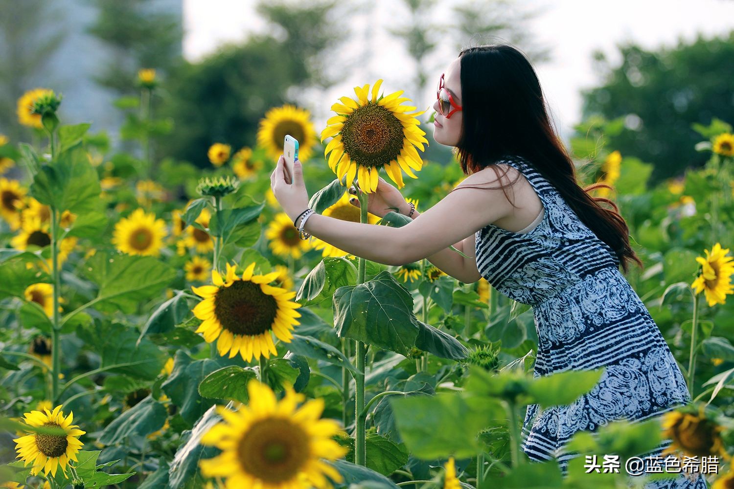 向日葵花田人像怎么拍自然好看?简单不做作9个拍照姿势,请收好