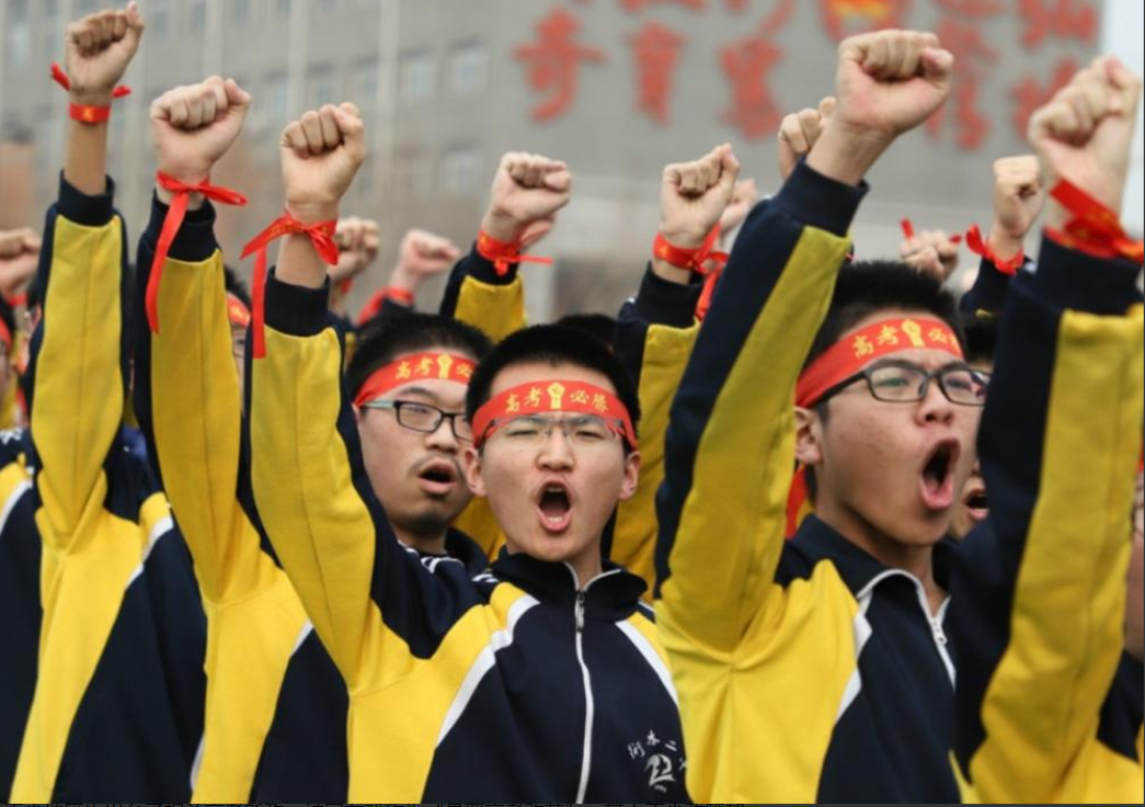 河北一考生被南开录取，还未报到就收到退学通知，网友：咎由自取