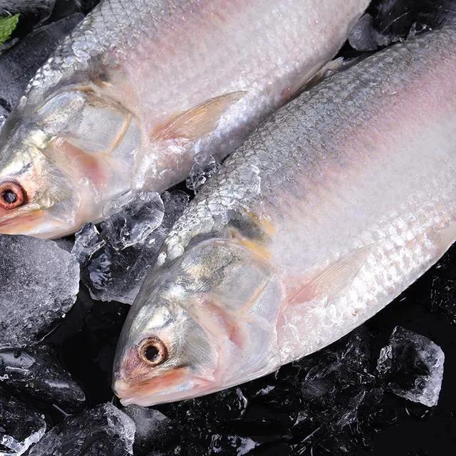 21種國產野生名貴淡水魚，吃過8種，你就是饕餮達人了