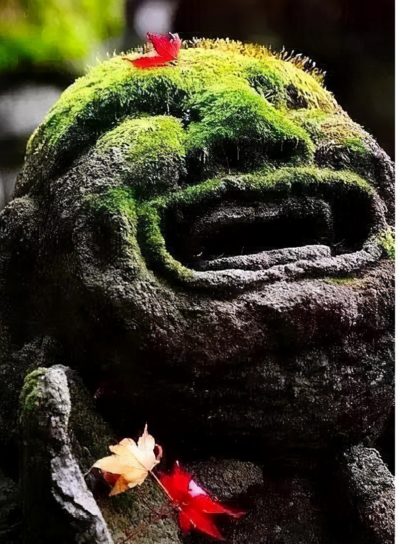 “面善心狠，一看便知”：有这两个特征者，往往面善心狠，要远离