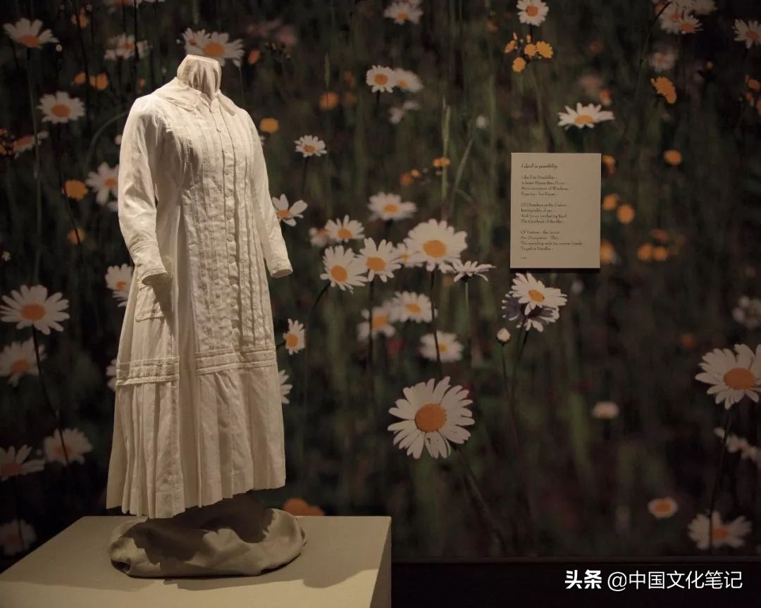 美国国宝级女诗人狄金森：闭门不出近三十年，能写诗就很幸福