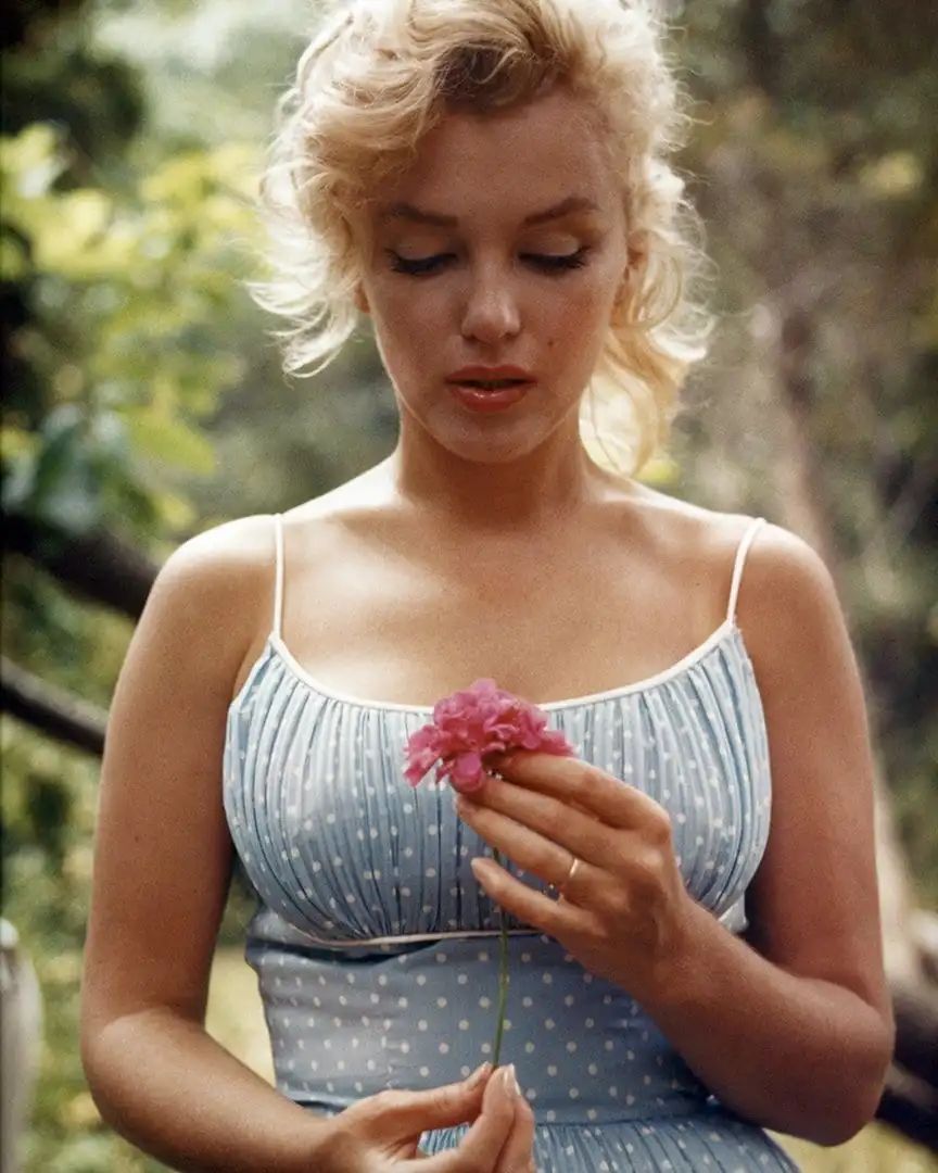 世界上谁最美世界公认的20位最美女神排行榜